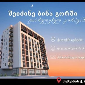 იყიდება 2 ოთახიანი ბინა გორში, წმინდა წყლის დასახლებაში