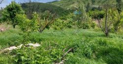 იყიდება სახლი ქ. გორის გასასვლელში, ავტობანთან