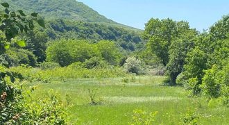 იყიდება სასახლკარე მიწის ნაკვეთი გორის რაიონ, სოფ. პატარა გორიჯვარში