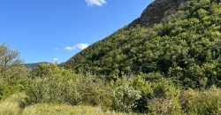 იყიდება მიწის ნაკვეთი გორის რაიონ, სოფ. ატენში
