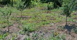 იყიდება 2 სართულიანი სახლი გორის რაიონ, სოფ. სობისში