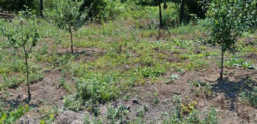 იყიდება 2 სართულიანი სახლი გორის რაიონ, სოფ. სობისში