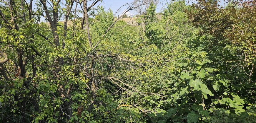 იყიდება 2 სართულიანი სახლი გორის რაიონ, სოფ. ხიდისთავში