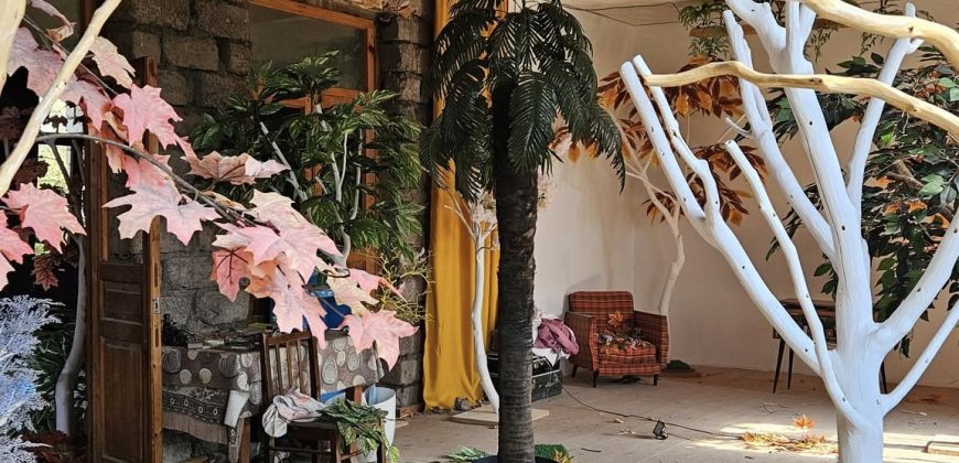 იყიდება 2 სართულიანი სახლი გორის რაიონ, სოფ. ხიდისთავში