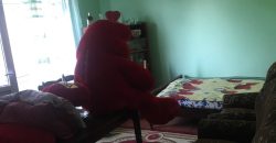 იყიდება 2 ოთახიანი ბინა გორის რაიონ, სოფ. ნაწრეტში