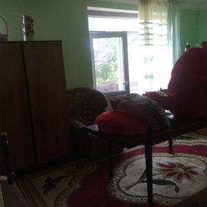 იყიდება 2 ოთახიანი ბინა გორის რაიონ, სოფ. ნაწრეტში