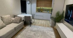 ქირავდება 3 ოთახიანი ბინა თბილისში, კიკვიძის პარკთან