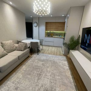 ქირავდება 3 ოთახიანი ბინა თბილისში, კიკვიძის პარკთან