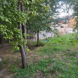 იყიდება სასახლკარე მიწის ნაკვეთი გორში იყიდება სასახლკარე მიწის ნაკვეთი გორში