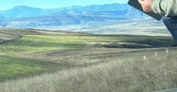 იყიდება მიწის ნაკვეთი გორის რაიონ, სოფ. ნადარბაზევში