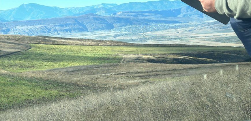 იყიდება მიწის ნაკვეთი გორის რაიონ, სოფ. ნადარბაზევში