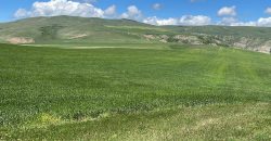 იყიდება მიწის ნაკვეთი გორის რაიონ, სოფ. ნადარბაზევში