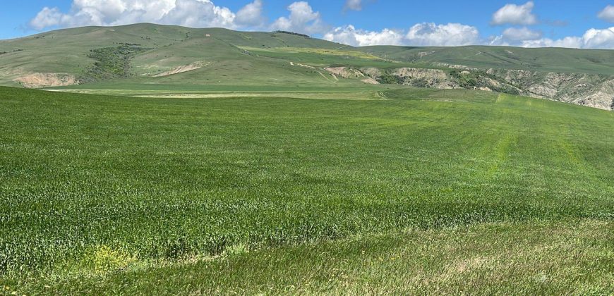 იყიდება მიწის ნაკვეთი გორის რაიონ, სოფ. ნადარბაზევში