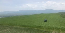 იყიდება მიწის ნაკვეთი გორის რაიონ, სოფ. ნადარბაზევში