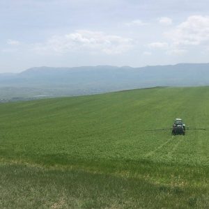 იყიდება მიწის ნაკვეთი გორის რაიონ, სოფ. ნადარბაზევში
