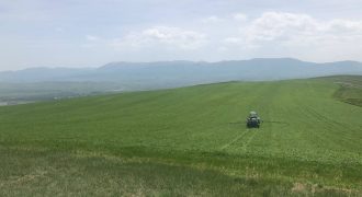 იყიდება მიწის ნაკვეთი გორის რაიონ, სოფ. ნადარბაზევში