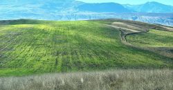 იყიდება მიწის ნაკვეთი გორის რაიონ, სოფ. ნადარბაზევში