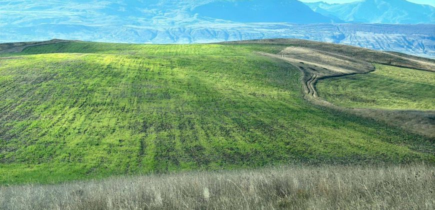 იყიდება მიწის ნაკვეთი გორის რაიონ, სოფ. ნადარბაზევში