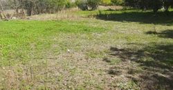 იყიდება მიწის ნაკვეთი კასპის რაიონ, სოფ. მეტეხში