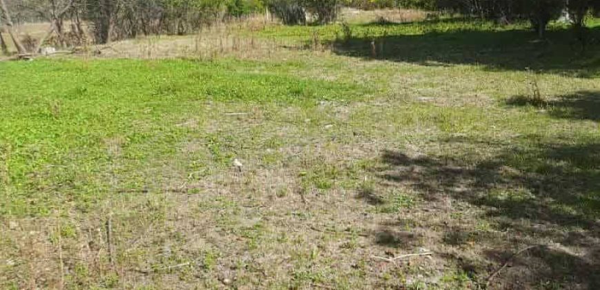 იყიდება მიწის ნაკვეთი კასპის რაიონ, სოფ. მეტეხში