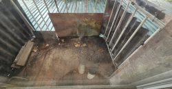 იყიდება ან ქირავდება 1 ოთახი გორში, კომბინატის დასახლებაში