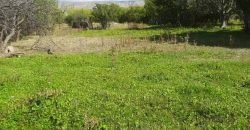 იყიდება მიწის ნაკვეთი კასპის რაიონ, სოფ. მეტეხში