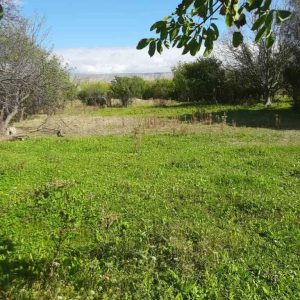 იყიდება მიწის ნაკვეთი კასპის რაიონ, სოფ. მეტეხში