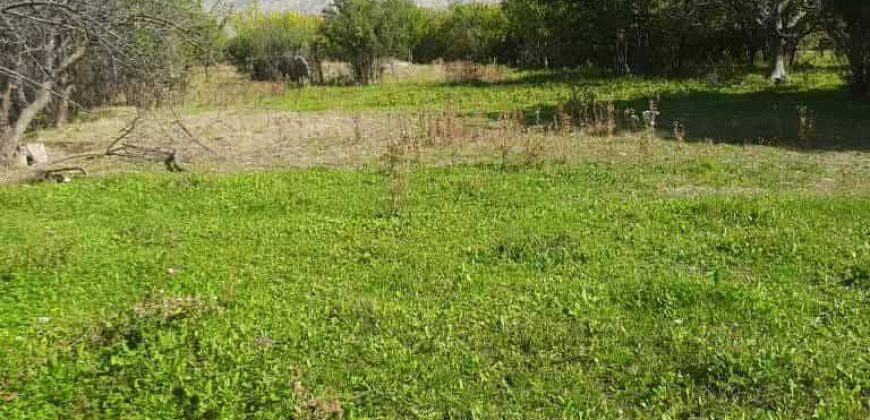 იყიდება მიწის ნაკვეთი კასპის რაიონ, სოფ. მეტეხში