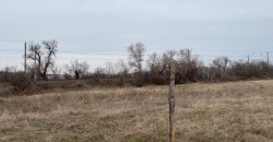 იყიდება მიწის ნაკვეთი გორის რაიონ, სოფ. პატარა გორიჯვართან