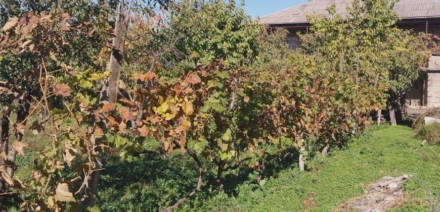 იყიდება სახლი კასპის რაიონ, სოფ. დოესში