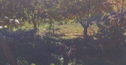 იყიდება სახლი კასპის რაიონ, სოფ. დოესში