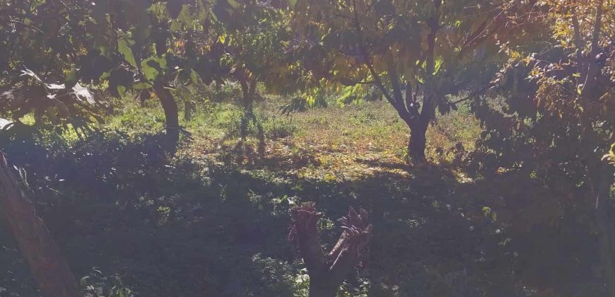 იყიდება სახლი კასპის რაიონ, სოფ. დოესში