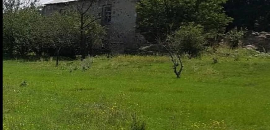 იყიდება ბელეტაჟი გორის რაიონ, სოფ. შავშვებში