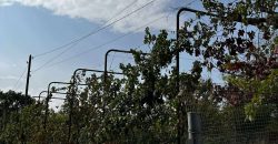 იყიდება 2 სართულიანი სახლი გორის რაიონ, სოფ. კარალეთში