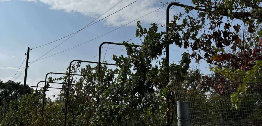 იყიდება 2 სართულიანი სახლი გორის რაიონ, სოფ. კარალეთში