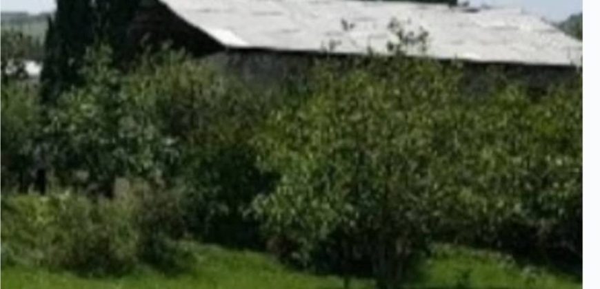 იყიდება ბელეტაჟი გორის რაიონ, სოფ. შავშვებში