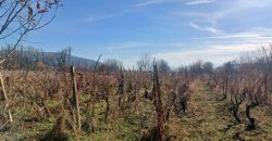 იყიდება მიწის ნაკვეთი კასპის რაიონ, სოფ. ლამისყანაში