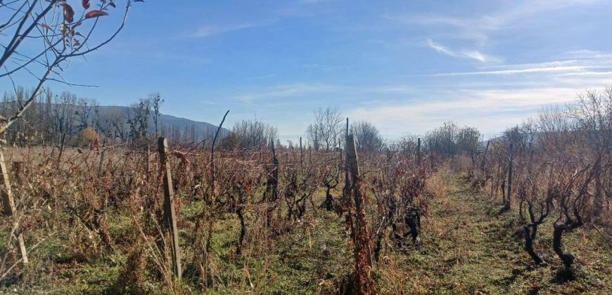 იყიდება მიწის ნაკვეთი კასპის რაიონ, სოფ. ლამისყანაში