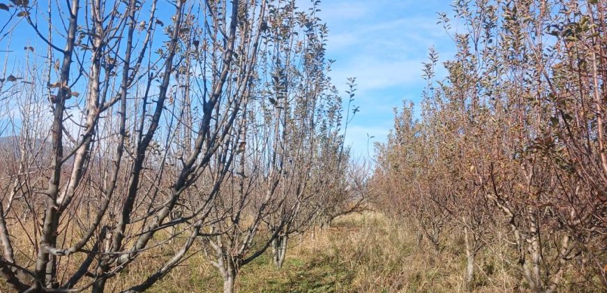 იყიდება მიწის ნაკვეთი კასპის რაიონ, სოფ. ლამისყანაში