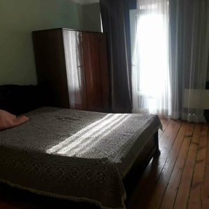 იყიდება 1-ოთახიანი სახლი ვერხვებზე