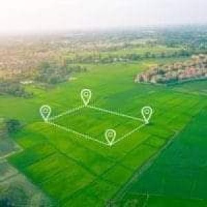 იყიდება მიწის ნაკვეთი გორში