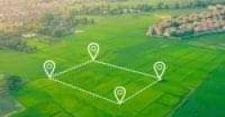 იყიდება მიწის ნაკვეთი გორში