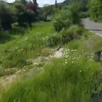 იყიდება მიწის ნაკვეთი ხაშურში, სოფ. ცოცხნარაში