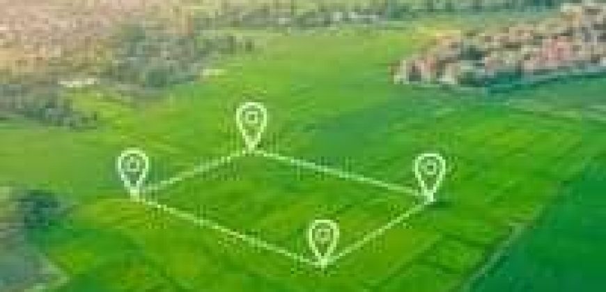 იყიდება მიწის ნაკვეთი გორში, ვოლოგდის დასახლებაში