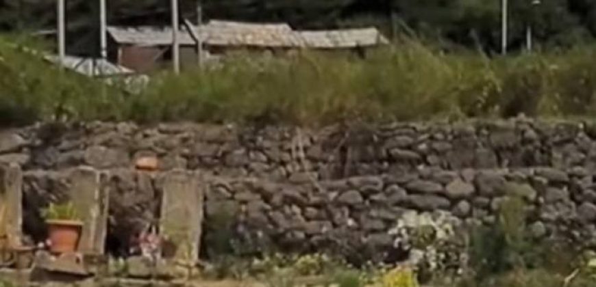 იყიდება ბინა ცაგერში, სოფ. დოღურაში