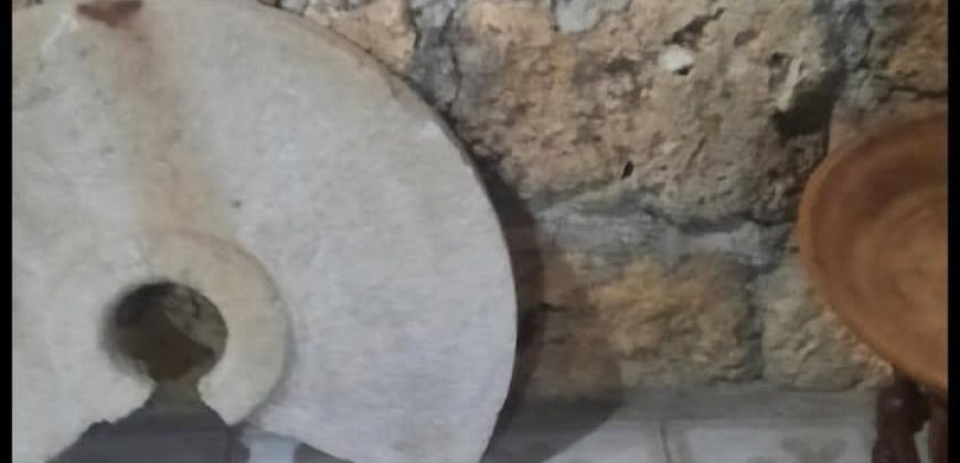 იყიდება ბინა ცაგერში, სოფ. დოღურაში