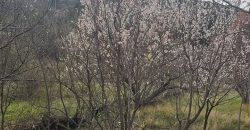 იყიდება მიწის ნაკვეთი გორში, სოფ. ხიდისთავში