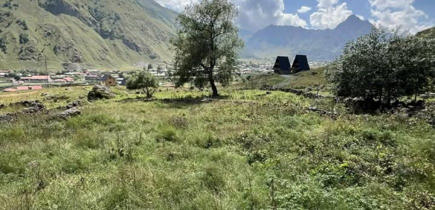 იყიდება მიწის ნაკვეთი ყაზბეგის რაიონ, სოფ. არშაში