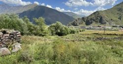 იყიდება მიწის ნაკვეთი ყაზბეგის რაიონ, სოფ. არშაში