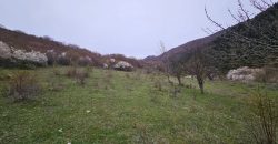 იყიდება მიწის ნაკვეთი გორის რაიონ, სოფ. ღვარებში